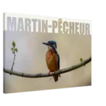 e933d85c-cfb5-4720-972a-8389cdca9d8c