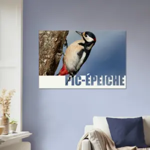 062fba5b-9e98-49f5-9fb5-cde29c61d9db