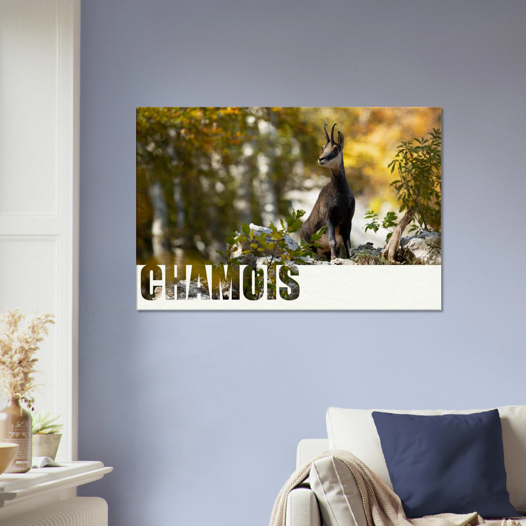 081347ff-9b77-41d2-b475-392ee19927cc