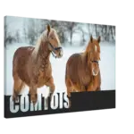 12ec61fb-d485-4df8-aea9-abeeef41a93a