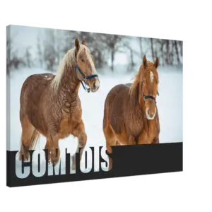 12ec61fb-d485-4df8-aea9-abeeef41a93a