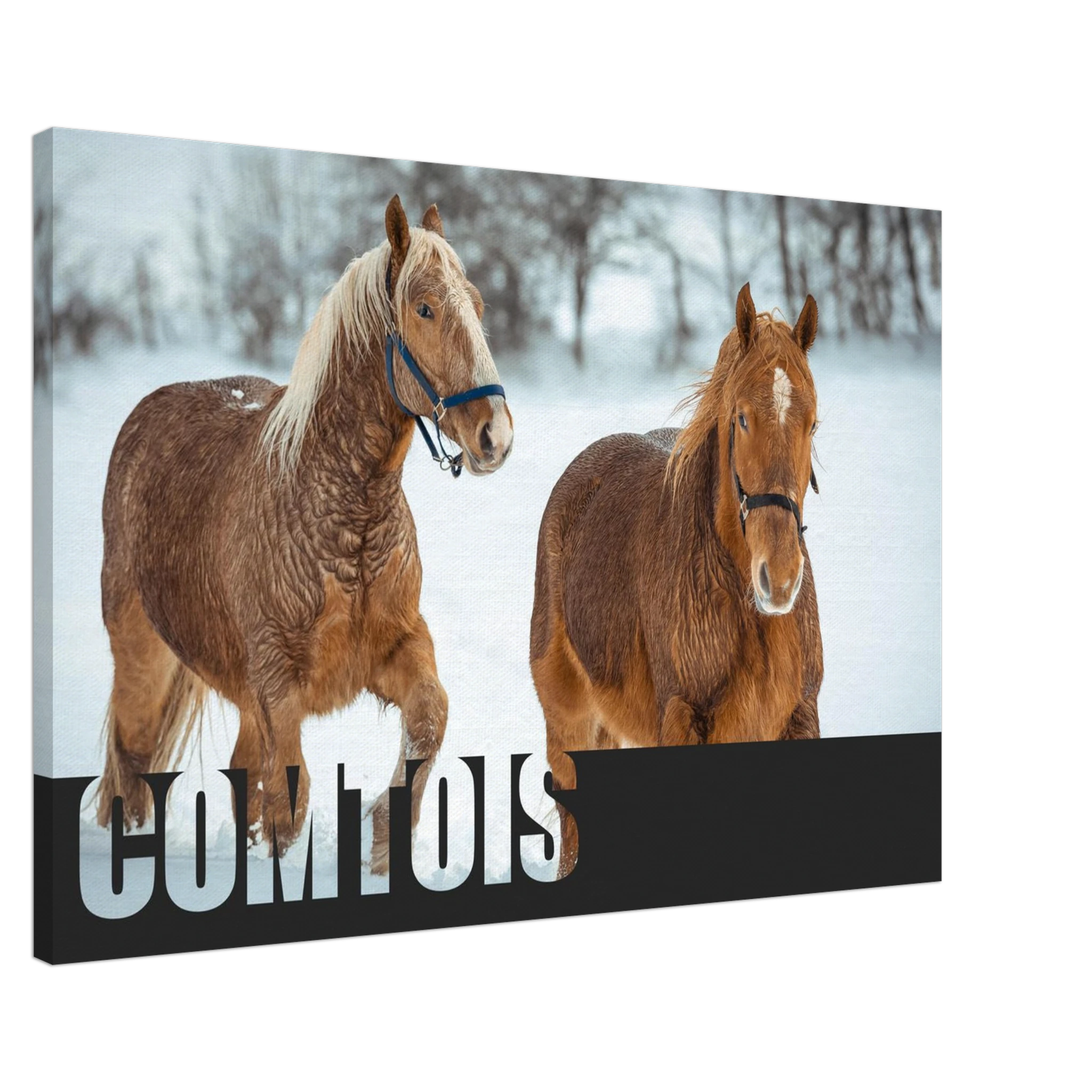 12ec61fb-d485-4df8-aea9-abeeef41a93a