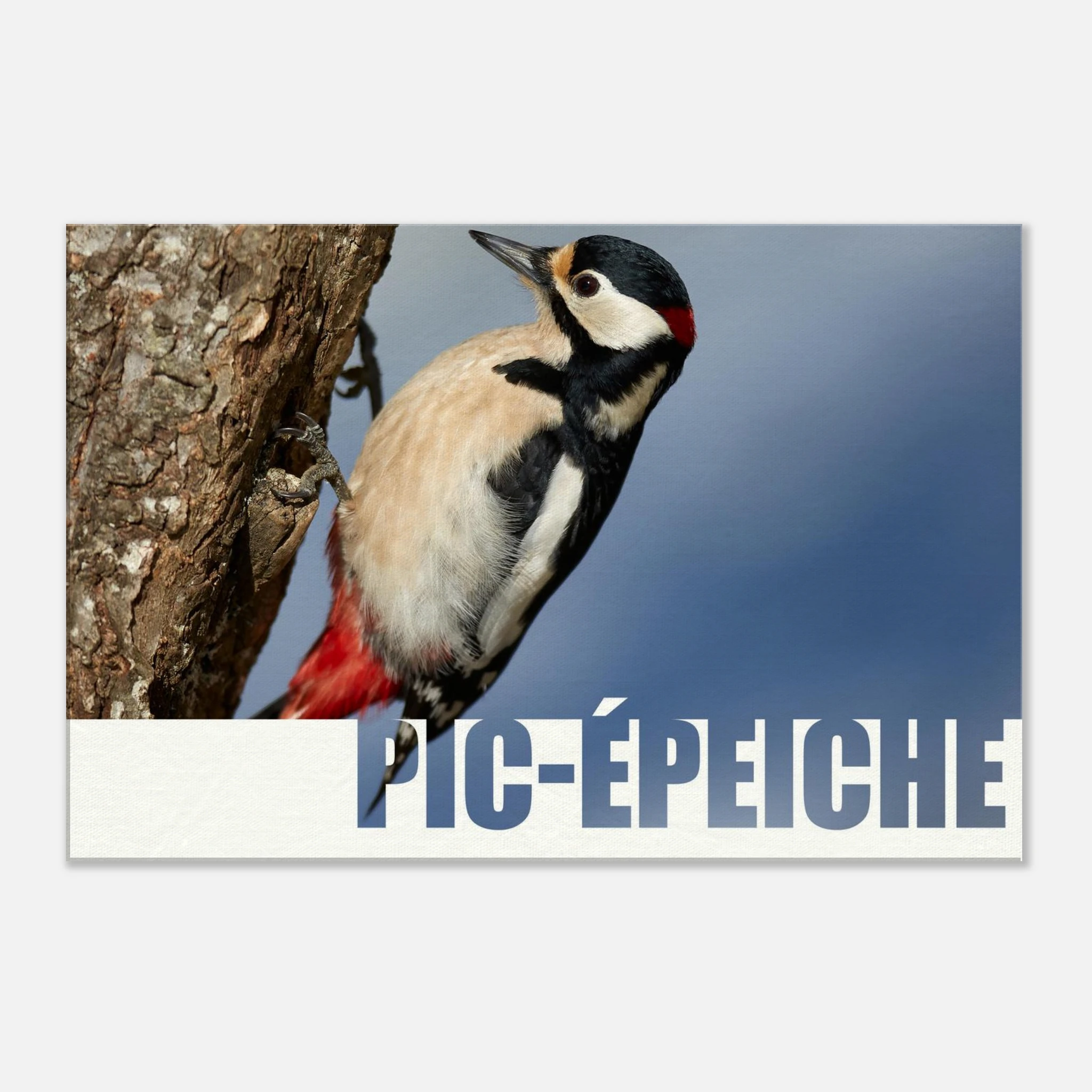 26dc568d-2430-41d5-8c15-ff281fc168b0