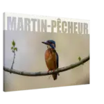 2c0b6ec4-0aa5-46b4-92e0-19ccf7a18baf