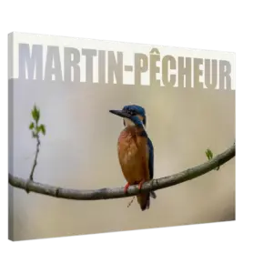 2c0b6ec4-0aa5-46b4-92e0-19ccf7a18baf