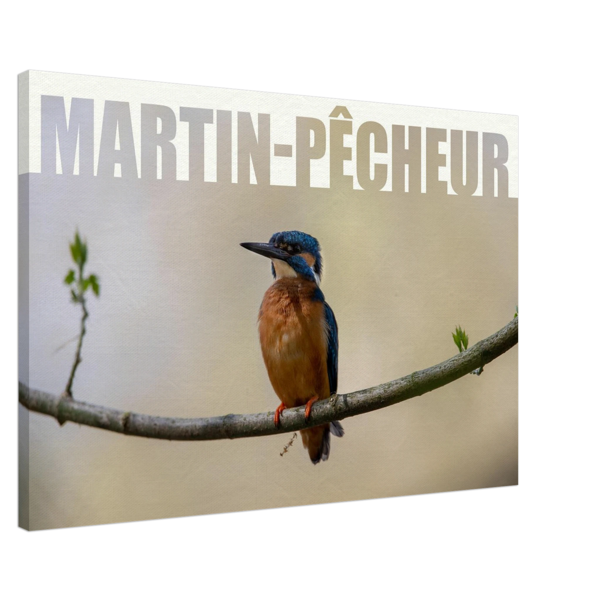 2c0b6ec4-0aa5-46b4-92e0-19ccf7a18baf