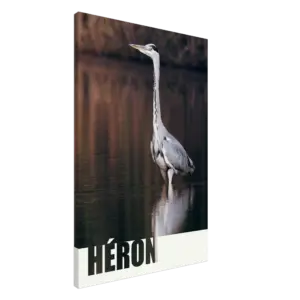 321a9f1e-cdea-4d5c-a43c-2a079b4198eb