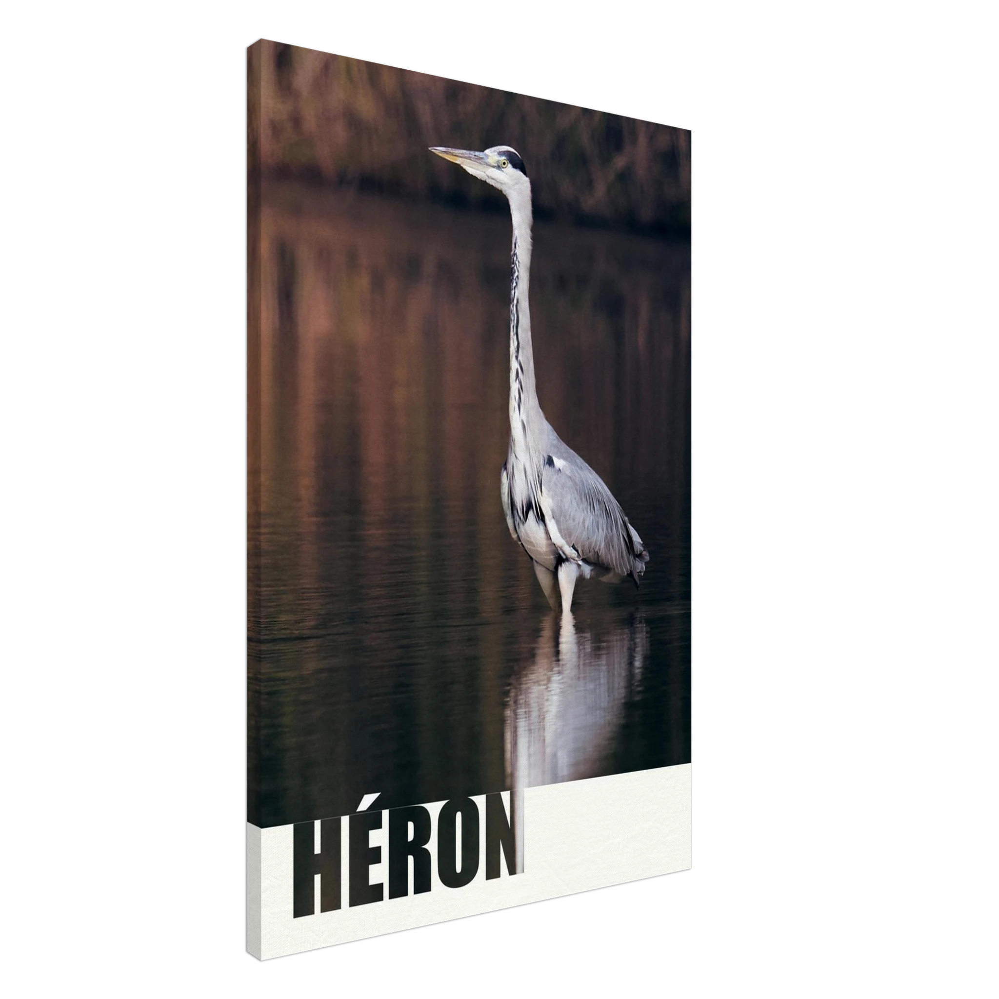 321a9f1e-cdea-4d5c-a43c-2a079b4198eb