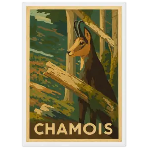 5dcd7962-d127-4b16-b66f-6796660909e8