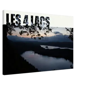 86d10a58-ccfa-446a-bff6-f1e6b307a1ba