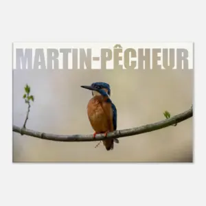 8a9be938-cef3-4979-bbf1-5ebc1f2cf5c0