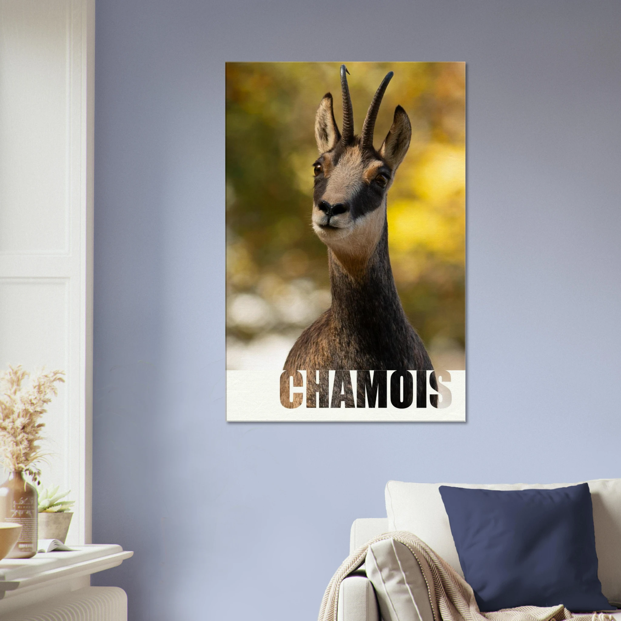 8cc243c8-dc50-4e80-a007-b63c2e8d5e06