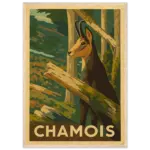 92bb8d30-64a1-495c-b7be-2fd62268da8b