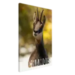 9cf9852c-ae6a-4a19-a6e3-23a5588c2645