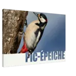 b5f30933-3c95-4726-b1bb-1b6ace5ebcd3