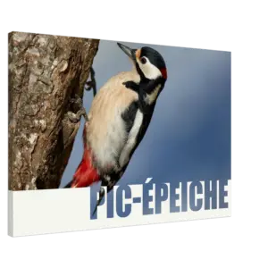 b5f30933-3c95-4726-b1bb-1b6ace5ebcd3