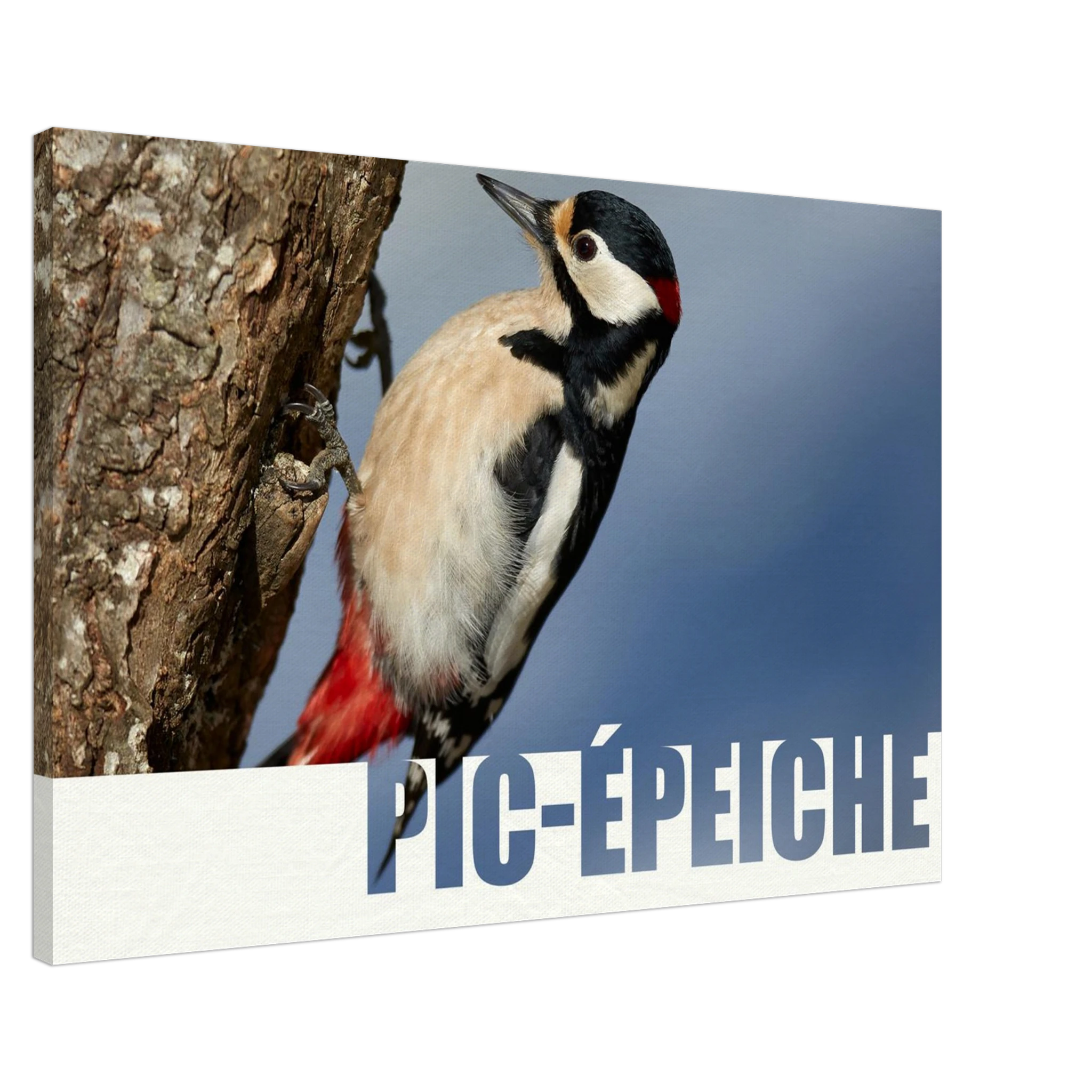 b5f30933-3c95-4726-b1bb-1b6ace5ebcd3