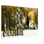 b6c9f55e-41d7-40d0-906a-1cbc887a7bb3