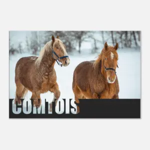 d910c1c1-57cb-4fee-a74c-57c2ae45cd14