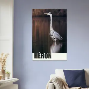 dc975425-7e67-489e-b782-f73035d50a59