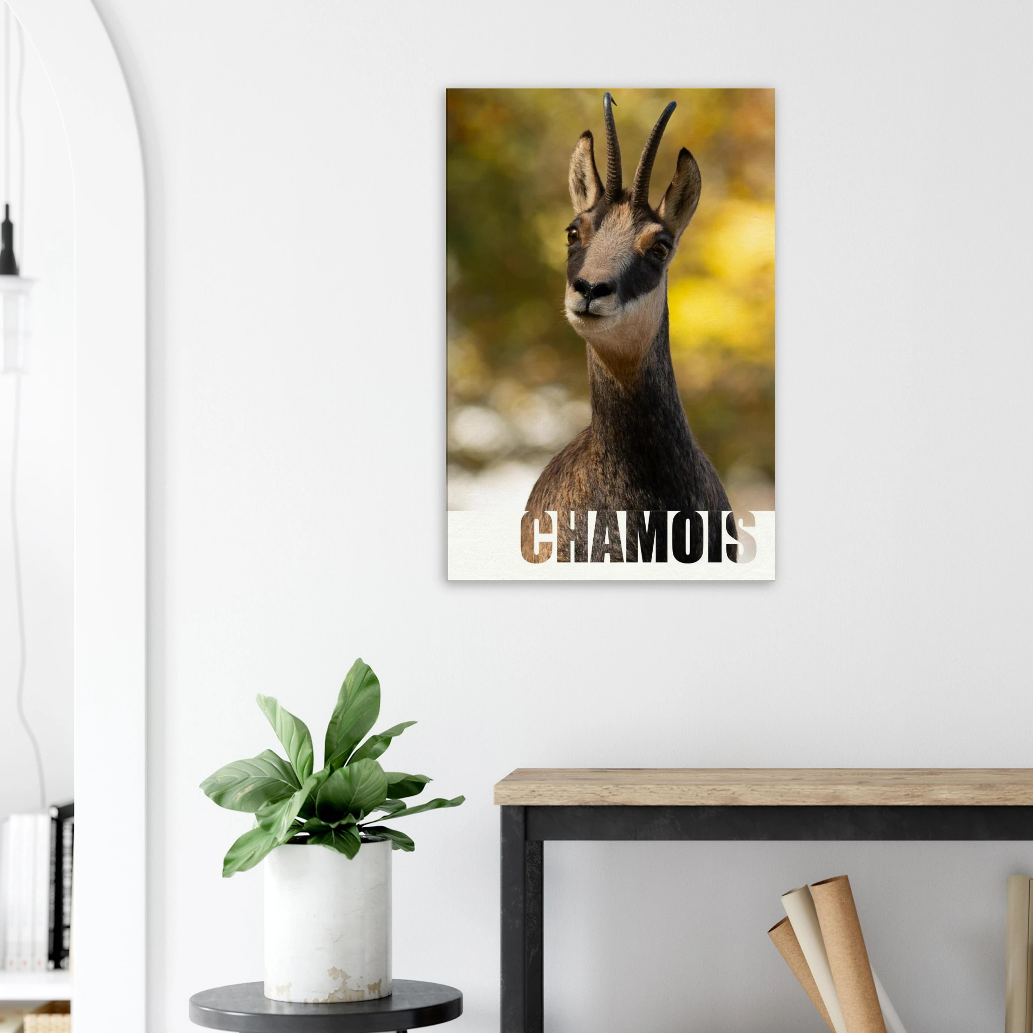 e571f5d8-78f1-4436-bcc2-33df97d9eca9